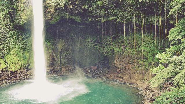 ARENAL VOLCANO BALDI HOT SPRINGS & LA FORTUNA WATERFALL - Photo 4 (Gallery view)