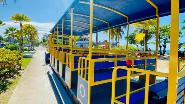 Old San Juan Trolley Sightseeing Tour: The Old & New SJ - Photo 5 (Gallery view)