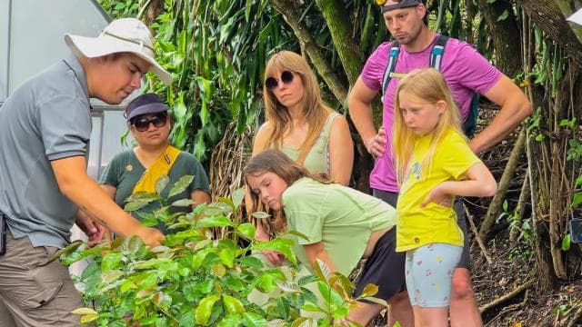 Monteverde: Coffee, Chocolate, and Sugar Cane Tour