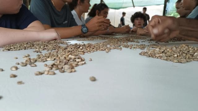 La Fortuna: Local Coffee Tour Experience