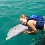 Swim with Dolphins in Punta Cana