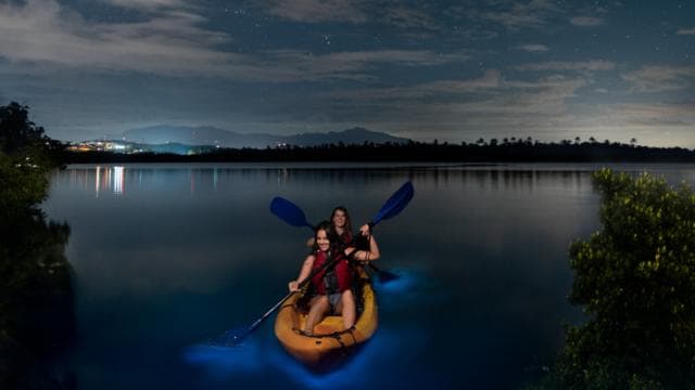 Vieques: Bioluminescent Bay Full Clear Kayaking - Photo 5 (Gallery view)