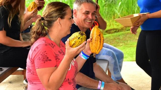 From Manuel Antonio: Los Suenos Adventure Park Day Trip