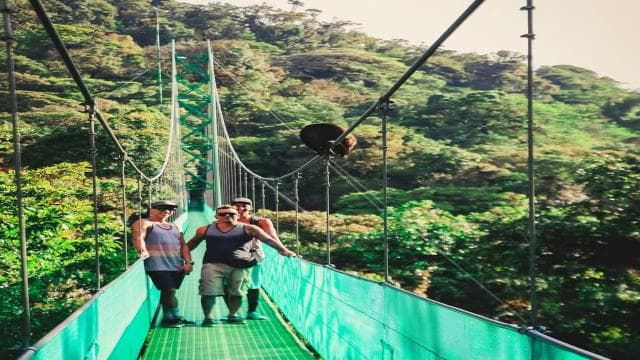 From Monteverde: Monteverde Suspension Bridge Guided Hike