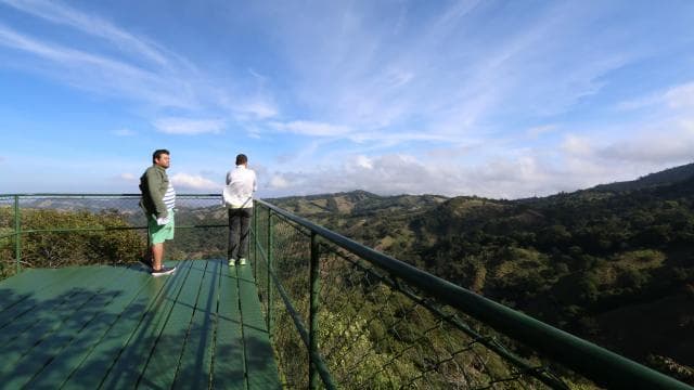Monteverde: Jungle Zipline & Tarzan Swing with Transfer
