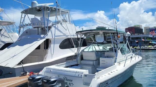 Частный «PARTY BOAT» или «SUNSET TOURS» в заливе Сан-Хуан. - Photo 5 (Gallery view)