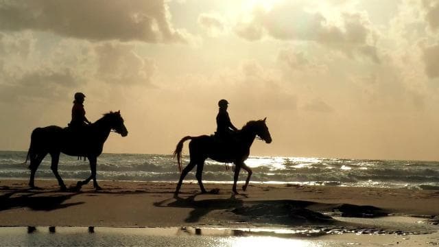 Tamarindo: Horseback to Conchal Beach Guanacaste, Costa Rica