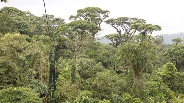 San José: Coffee Production Tour and Tasting
