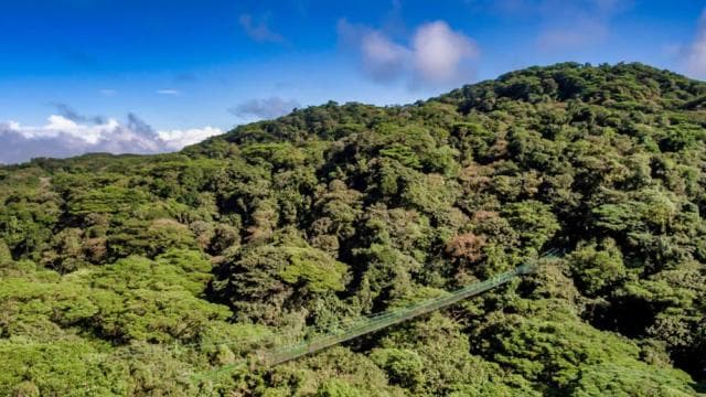 Monteverde: Hängebrücken, Faultiere und Schmetterlinge - Photo 3 (Gallery view)