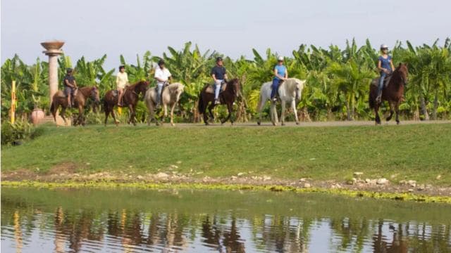 Scenic Horseback Riding Experience