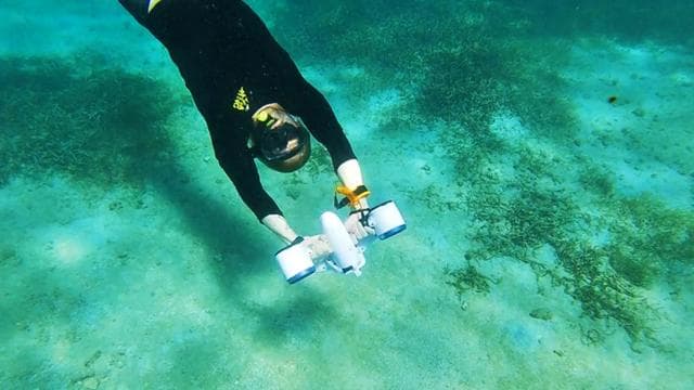 San Juan: Jet Snorkeling Adventure with Sea Turtle Spotting
