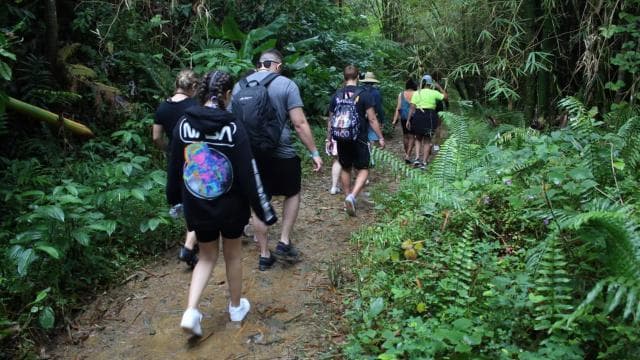 From San Juan: Rainforest Walk, Nature Swim & Luquillo Beach