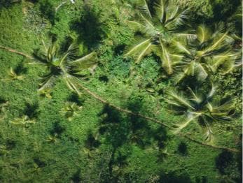 Sabana de la Mar: Los Haitises Guided Hike and Kayaking