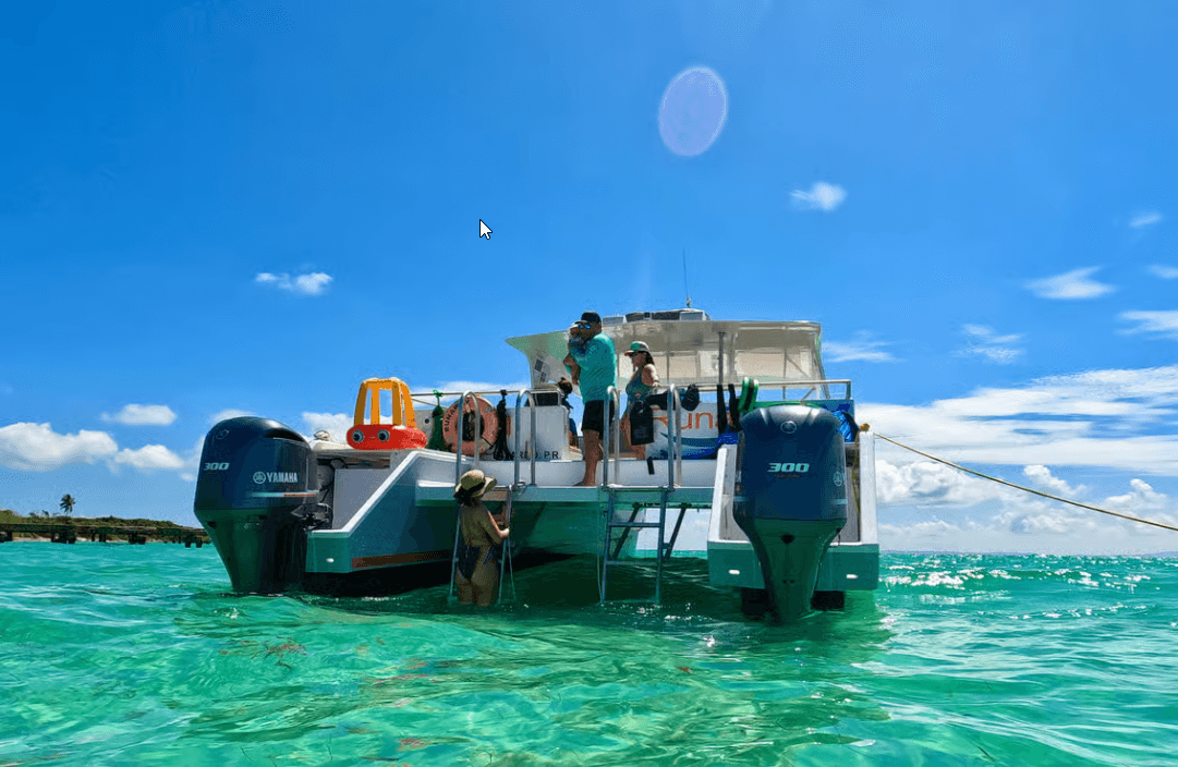 Icacos: Double-Dip-Power-Katamaran-Schnorchel- und Strandtour - Photo 4 (Gallery view)