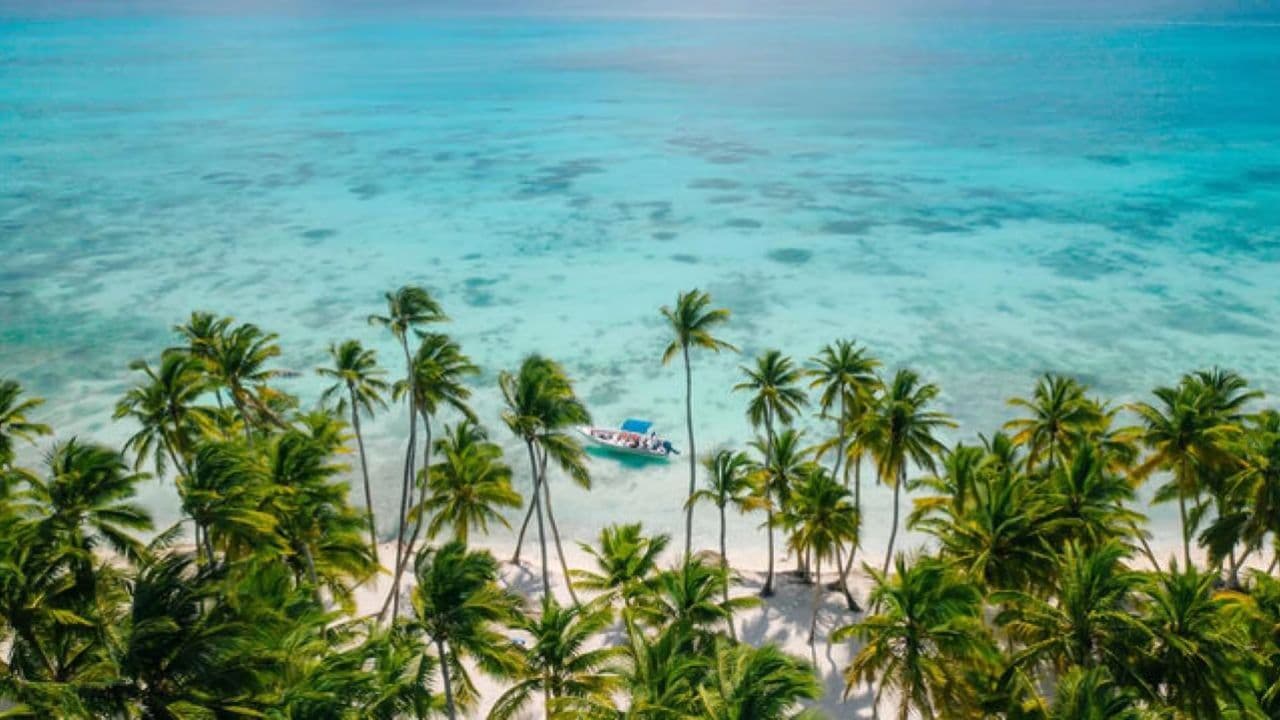Saona Island Snorkeling, Catamaran and Lunch on the Beach