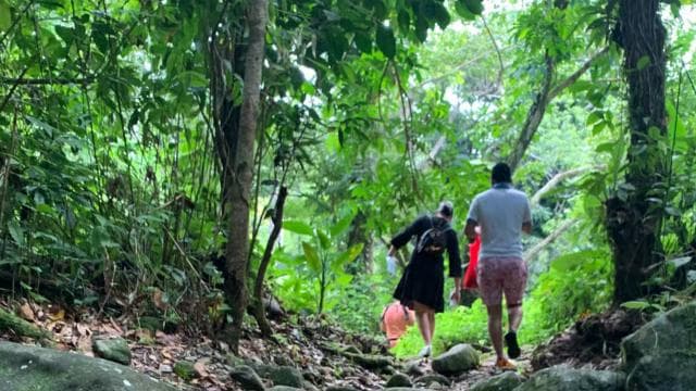El Yunque National Rainforest Nature Walk & Luquillo Beach