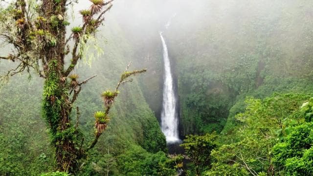 San José: Arenal Volcano, Hot Springs, & Zip Lining w/ Meals - Photo 4 (Gallery view)