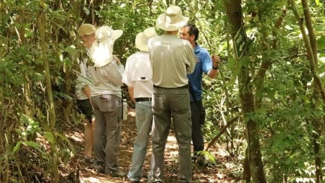 Monteverde: Coffee, Sugar Cane, and Chocolate Tour