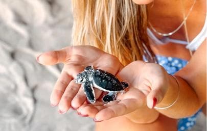 Isla Saona Wildlife Safari: Your All-Inclusive Escape - Photo 3 (Gallery view)