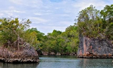 Los Haitises: Přírodní koupaliště pro pěší turistiku a jízdu na kajaku Tour & Lunch - Photo 4 (Gallery view)