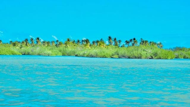 Punta Cana: jednodniowa wycieczka na wyspę Catalina z nurkowaniem - Photo 5 (Gallery view)