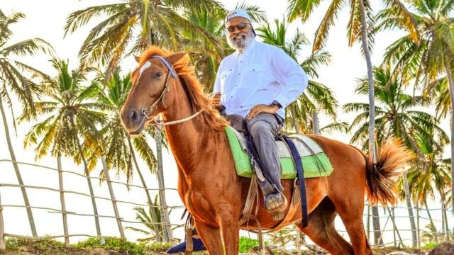 Horseback Riding at Macao Beach and River with Transfers