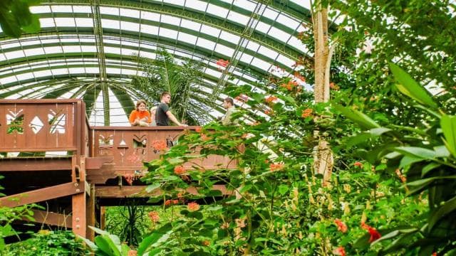 Monteverde: Suspension Bridges, Sloths, and Butterflies