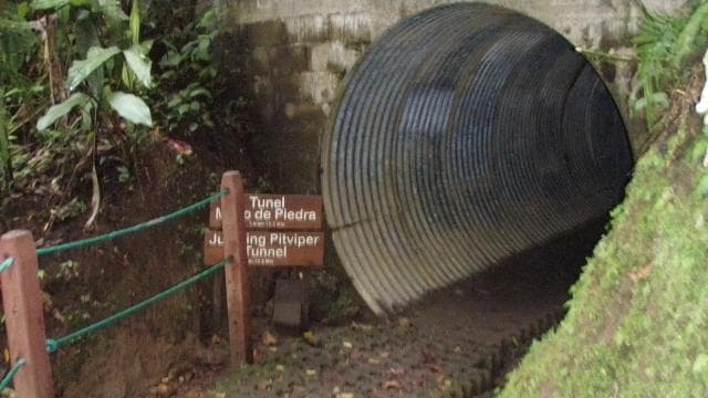 Tur de jumătate de zi la Podurile suspendate Arenal din La Fortuna - Photo 3 (Gallery view)