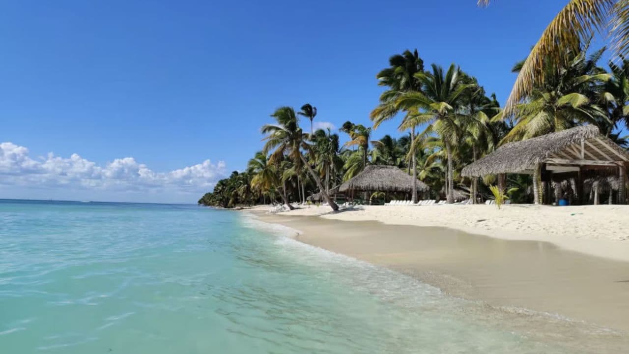 Aventura Exótica a Isla Saona: Paraíso en la Piscina Natural