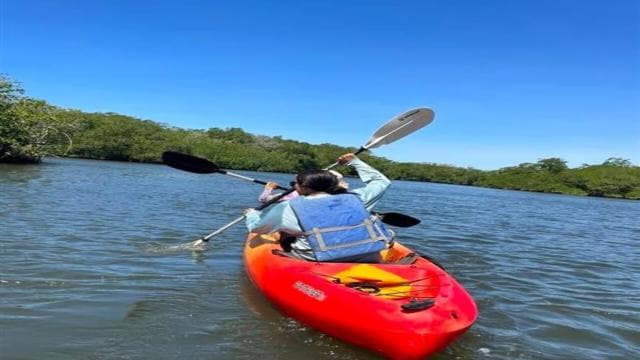 Tamarindo Estuary: Explore by Boat or Kayak - Choose your tour! - Photo 5 (Gallery view)