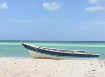 Bahía de las Aguilas: Tagesausflug zum Strand mit dem Boot - Photo 2 (Gallery view)