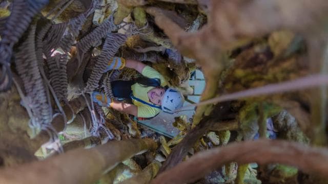 The Original Canopy Tour Monteverde