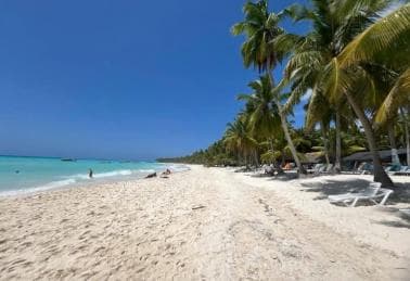 All-Inclusive Excursion to Saona Island from Punta Cana: Lunch and Open Bar