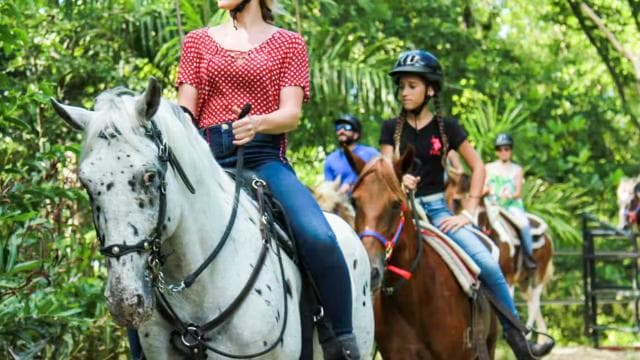 Carabalí Rainforest Park: Rainforest Horseback Riding Tour