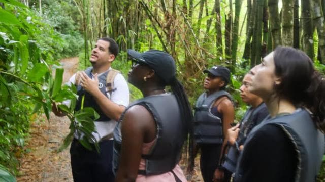 Authentic El Yunque Rainforest Adventure Waterfalls & Slides