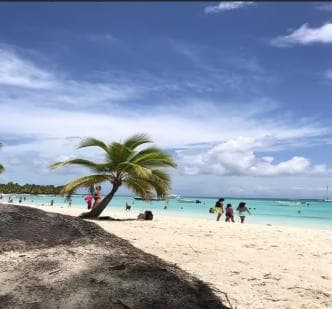 Saona Island Tour All Inclusive Speedboat and Catamaran