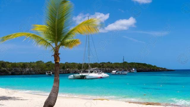 Punta Cana : croisière de plongée sous-marine sur l'île Catalina avec déjeuner - Photo 3 (Gallery view)