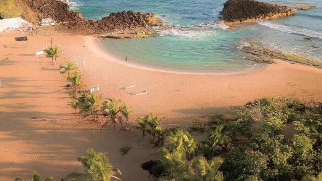 Puerto Rico: North Coast Springs, Caves, and Beach Tour