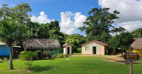 Punta Cana: Buggy and Zipline Adventure at La Hacienda