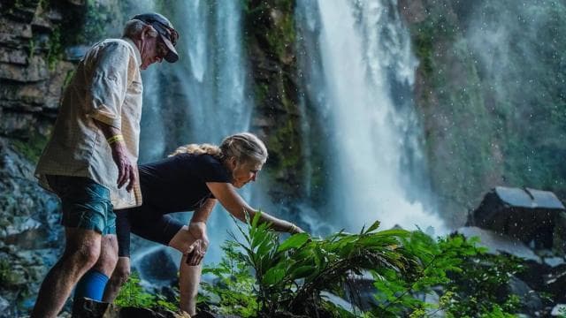 Nauyaca Waterfalls: Full-Day Waterfalls Tours