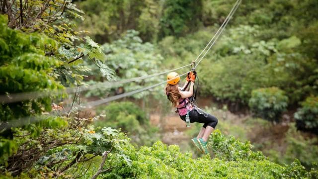 From San Juan: Zipline & Toro Bike Tour with Transportation - Photo 5 (Gallery view)