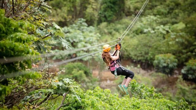 Toro Verde: Zipline + The Beast mit Transport - Photo 5 (Gallery view)
