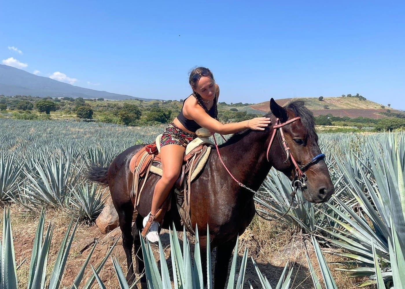 Full-Day Tour in Tequila factory and Cantaritos el Gúero