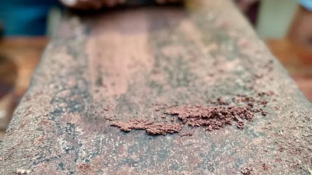 San Jose: Cacao & Chocolate Workshop - Photo 4 (Gallery view)