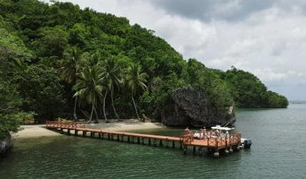 Miches: Los Haitises, Transfer, Walking & Boat tour