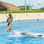 Punta Cana: Swim with Dolphins in the Pool