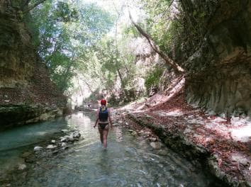 Damajagua: Waterfalls with Lunch Buffet - Photo 5 (Gallery view)