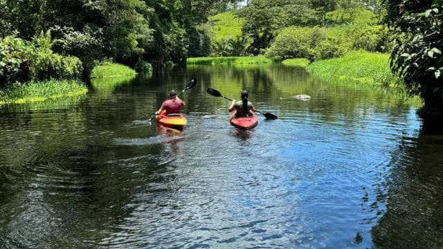 Bijagua: Kayak and Tropical Forest Trail Tour