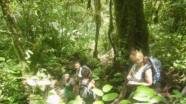 Río Celeste National Park Hike