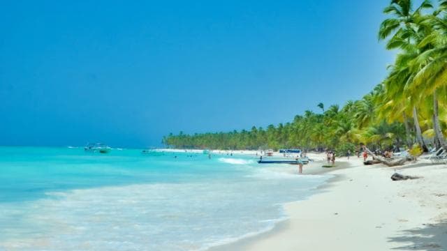From Punta Cana: Saona and Mano Juan Day Trip by Catamaran - Photo 4 (Gallery view)